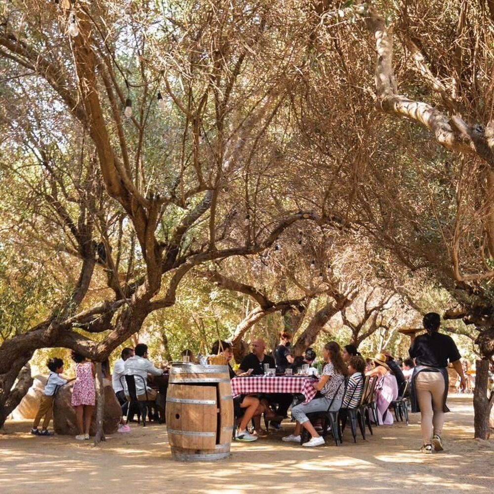 Bruma Wine Garden Bruma Wine Garden