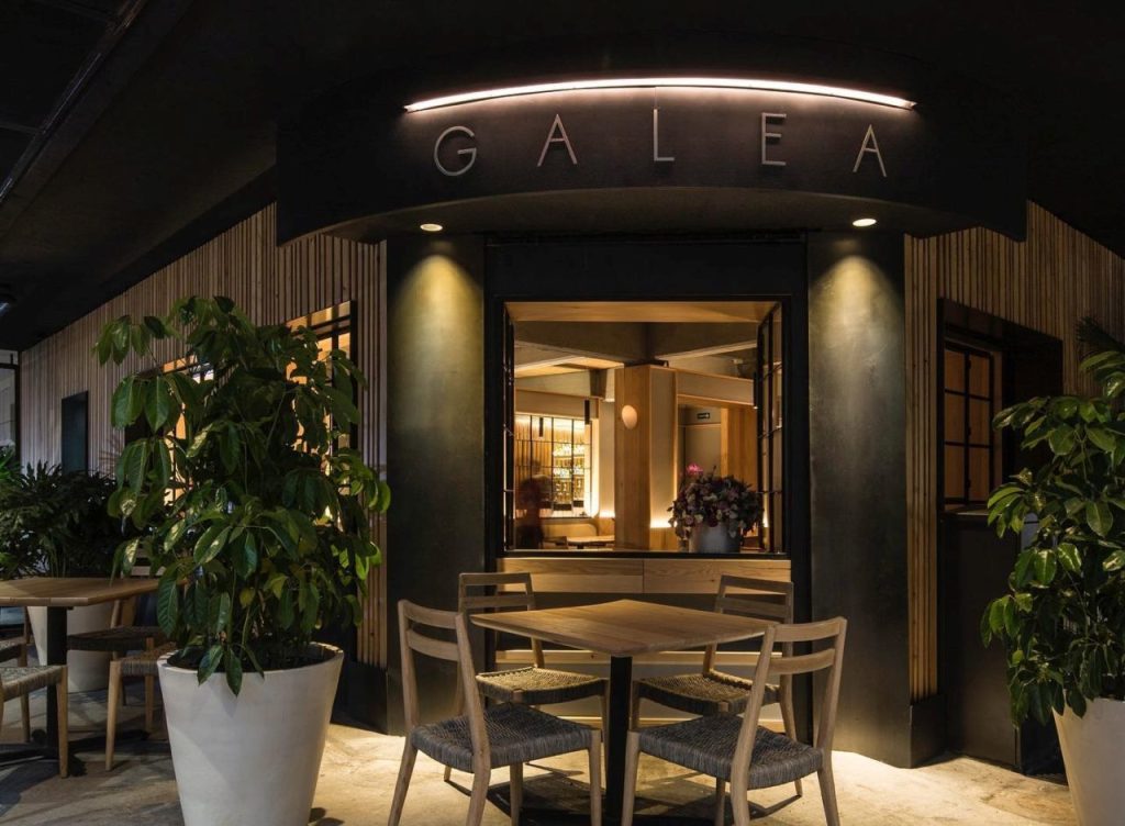 Galea Galea